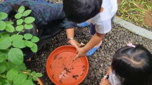 Read more about the article 5 Aktivitas Nature-Play Seru yang Bisa Dilakukan di Rumah Bersama Anak