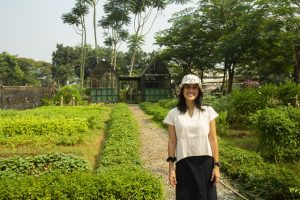 Read more about the article Wajah Baru Kebun Kumara di Scientia Square Park!